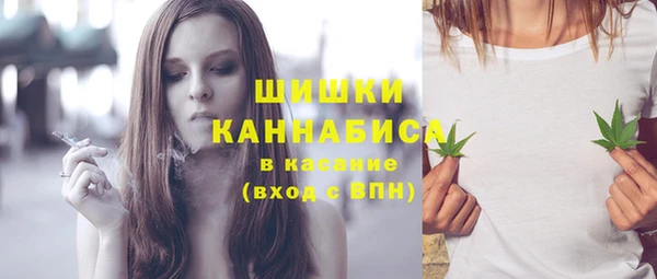 экстази Бородино
