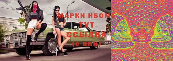 экстази Бородино