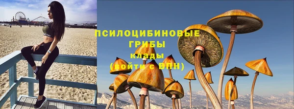 марки nbome Богородицк