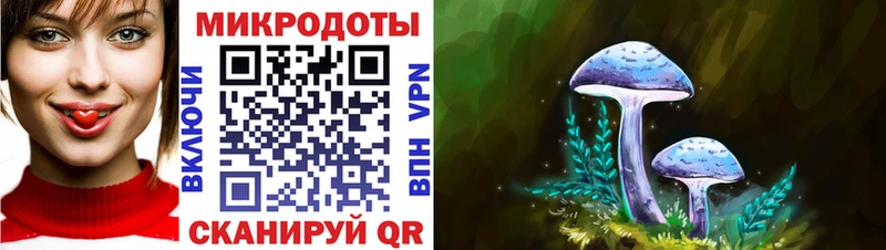 как найти закладки Дзержинск Псилоцибиновые грибы MAGIC MUSHROOMS